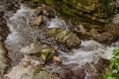 Milyonlarca yıl boyunca, Orfento Nehri (Caramanico Terme belediyesinde) söğütler, eğreltiotları ve yosunların yer aldığı yoğun nehir bitkileriyle kaplı dar bir vadi oluşturdu..