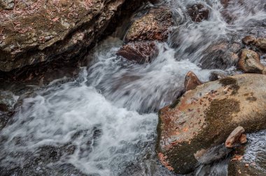 Milyonlarca yıl boyunca, Orfento Nehri (Caramanico Terme belediyesinde) söğütler, eğreltiotları ve yosunların yer aldığı yoğun nehir bitkileriyle kaplı dar bir vadi oluşturdu..