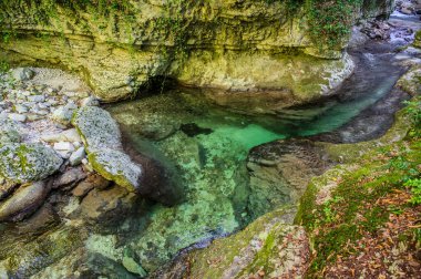Milyonlarca yıl boyunca, Orfento Nehri (Caramanico Terme belediyesinde) söğütler, eğreltiotları ve yosunların yer aldığı yoğun nehir bitkileriyle kaplı dar bir vadi oluşturdu..