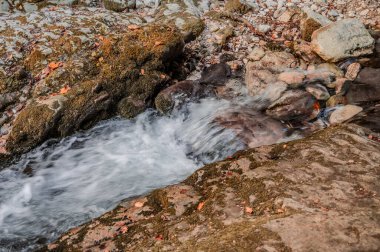 Milyonlarca yıl boyunca, Orfento Nehri (Caramanico Terme belediyesinde) söğütler, eğreltiotları ve yosunların yer aldığı yoğun nehir bitkileriyle kaplı dar bir vadi oluşturdu..
