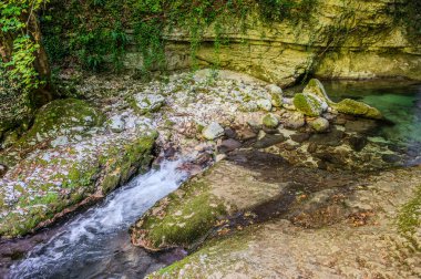 Milyonlarca yıl boyunca, Orfento Nehri (Caramanico Terme belediyesinde) söğütler, eğreltiotları ve yosunların yer aldığı yoğun nehir bitkileriyle kaplı dar bir vadi oluşturdu..