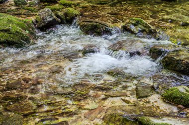 Milyonlarca yıl boyunca, Orfento Nehri (Caramanico Terme belediyesinde) söğütler, eğreltiotları ve yosunların yer aldığı yoğun nehir bitkileriyle kaplı dar bir vadi oluşturdu..