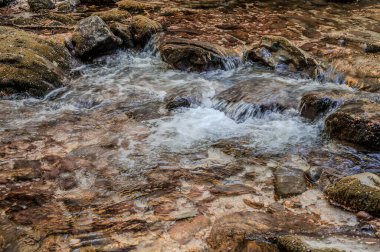 Milyonlarca yıl boyunca, Orfento Nehri (Caramanico Terme belediyesinde) söğütler, eğreltiotları ve yosunların yer aldığı yoğun nehir bitkileriyle kaplı dar bir vadi oluşturdu..