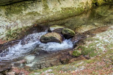 Milyonlarca yıl boyunca, Orfento Nehri (Caramanico Terme belediyesinde) söğütler, eğreltiotları ve yosunların yer aldığı yoğun nehir bitkileriyle kaplı dar bir vadi oluşturdu..