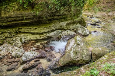 Milyonlarca yıl boyunca, Orfento Nehri (Caramanico Terme belediyesinde) söğütler, eğreltiotları ve yosunların yer aldığı yoğun nehir bitkileriyle kaplı dar bir vadi oluşturdu..