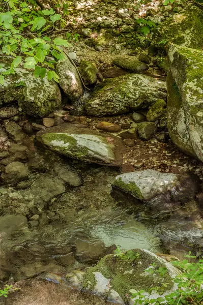Milyonlarca yıl boyunca, Orfento Nehri (Caramanico Terme belediyesinde) söğütler, eğreltiotları ve yosunların yer aldığı yoğun nehir bitkileriyle kaplı dar bir vadi oluşturdu..