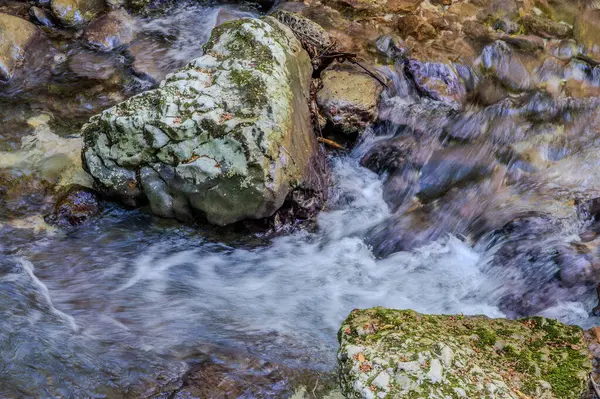 Milyonlarca yıl boyunca, Orfento Nehri (Caramanico Terme belediyesinde) söğütler, eğreltiotları ve yosunların yer aldığı yoğun nehir bitkileriyle kaplı dar bir vadi oluşturdu..