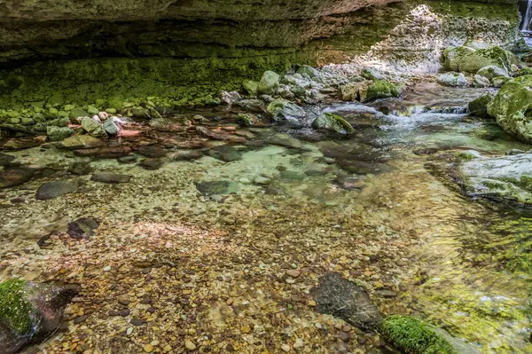 Milyonlarca yıl boyunca, Orfento Nehri (Caramanico Terme belediyesinde) söğütler, eğreltiotları ve yosunların yer aldığı yoğun nehir bitkileriyle kaplı dar bir vadi oluşturdu..