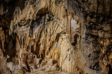 Frasassi Mağaraları, Gola della Rossa ve Frasassi Bölgesel Doğal Parkı içinde, Ancona ilinin Genga belediyesine bağlı yeraltı karst mağaralarıdır..