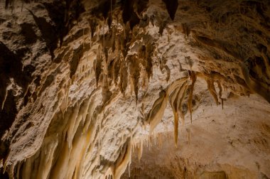 Frasassi Mağaraları, Gola della Rossa ve Frasassi Bölgesel Doğal Parkı içinde, Ancona ilinin Genga belediyesine bağlı yeraltı karst mağaralarıdır..