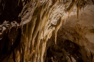 Frasassi Mağaraları, Gola della Rossa ve Frasassi Bölgesel Doğal Parkı içinde, Ancona ilinin Genga belediyesine bağlı yeraltı karst mağaralarıdır..