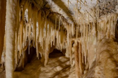 Frasassi Mağaraları, Gola della Rossa ve Frasassi Bölgesel Doğal Parkı içinde, Ancona ilinin Genga belediyesine bağlı yeraltı karst mağaralarıdır..