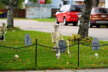 Toplumun ev sahipleri evlerini 2022 yılının korkunç Cadılar Bayramı süslemeleriyle süslediler..