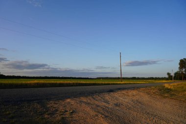 Mısır ekili tarlalar yavaş yavaş büyüyorlar..