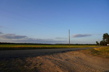 Mısır ekili tarlalar yavaş yavaş büyüyorlar..