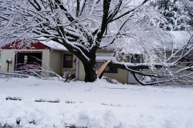 Yeni Lizbon, Wisconsin ABD - 15 Aralık 2022: Ağaçlar yoğun kar yağışı nedeniyle evlere devrilmek için eğiliyor.