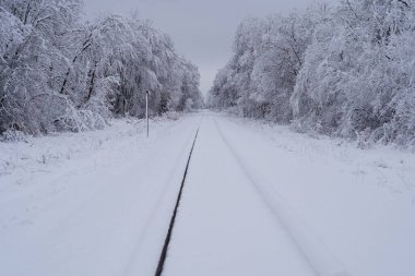 2022 'deki Wisconsin kar yağışı sırasında yoğun kar yağışlı yol