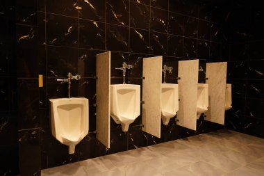 Modern bir tuvaletin iç 