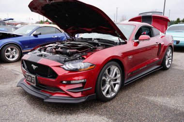 Baraboo, Wisconsin ABD - 30 Nisan 2022: 2018 5.0 Red Ford Mustang Coyote, Cruise for a Cause araba fuarında sergileniyor.
