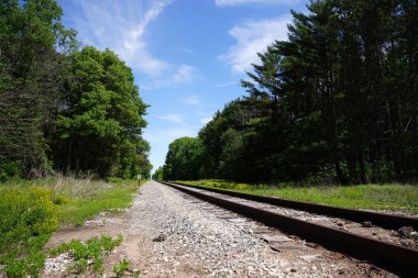Tren rayları ormana gidiyor..