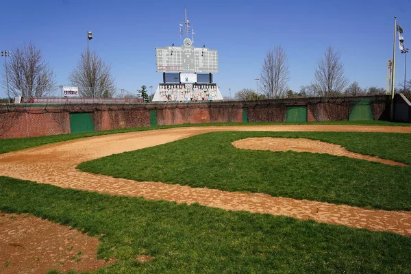 Freeport Illinois Estados Unidos Abril 2023 Pequeños Cachorros Campo Béisbol —  Fotos de Stock