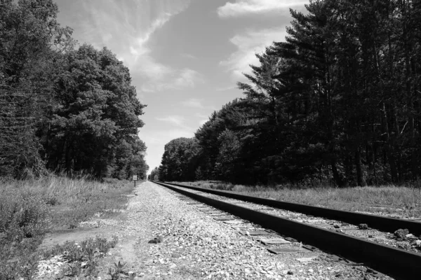 Σιδηροδρομικές Γραμμές Οδηγούν Ένα Δάσος — Φωτογραφία Αρχείου