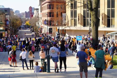 Madison, Wisconsin / ABD - 7 Kasım 2020: Joe Biden ve Kamala Harris taraftarları 2020 seçimlerindeki zaferlerini kutlamak için Madison sokaklarına döküldüler..