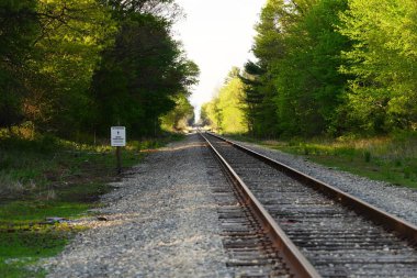 Tren rayları ormana gidiyor..