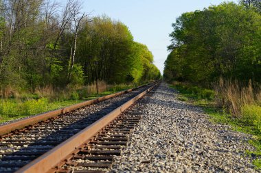 Tren rayları ormana gidiyor..