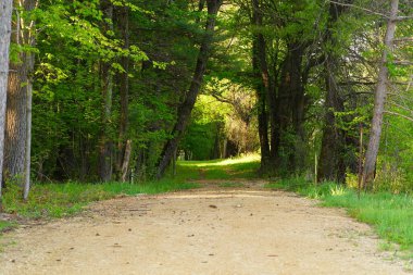 Doğanın güzel manzarası