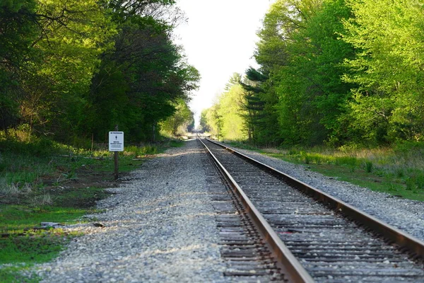 Tren rayları ormana gidiyor..