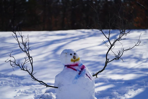 Οικογένεια Έκανε Χιονάνθρωπο Κατά Διάρκεια Του Χειμώνα — Φωτογραφία Αρχείου