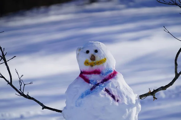 Familie Gemaakte Sneeuwman Gemaakt Tijdens Winter — Stockfoto