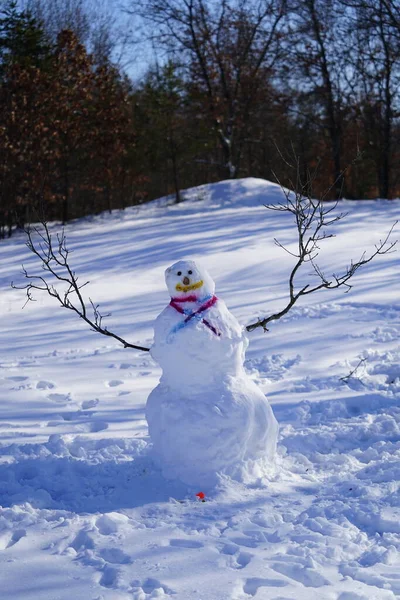 Οικογένεια Έκανε Χιονάνθρωπο Κατά Διάρκεια Του Χειμώνα — Φωτογραφία Αρχείου