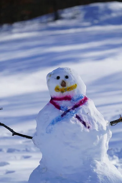 Familie Gemaakte Sneeuwman Gemaakt Tijdens Winter — Stockfoto