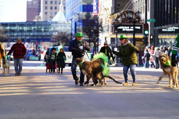 Milwaukee, Wisconsin ABD - 12 Mart 2022: İrlandalı kurtlar ve sahipleri Aziz Patrick Günü geçit töreninde yürüyorlar.