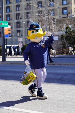 Milwaukee, Wisconsin ABD - 12 Mart 2022 Milwaukee Brewers beyzbol maskotu St. Patrick Günü geçit töreninde izleyicilerle yürüdü ve etkileşime girdi.