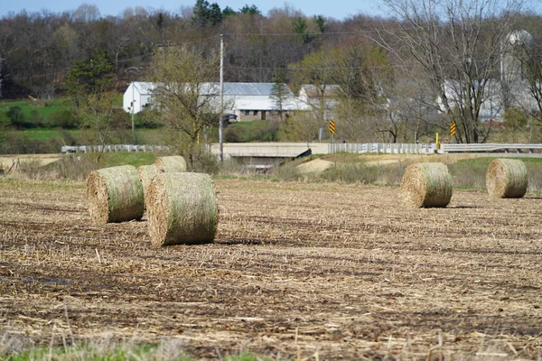 Square Rolled Hay Bales Sit Farmland — Stock Photo, Image