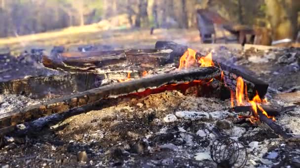Wood Burning Ashing Fire — Stock Video