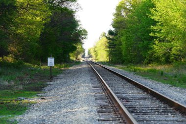 Tren rayları ormana gidiyor..