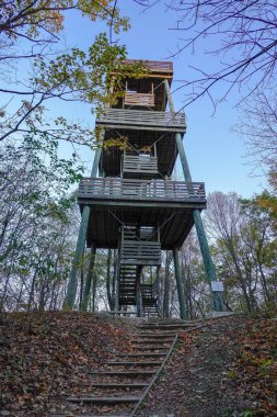 Ormandaki eski ahşap ev