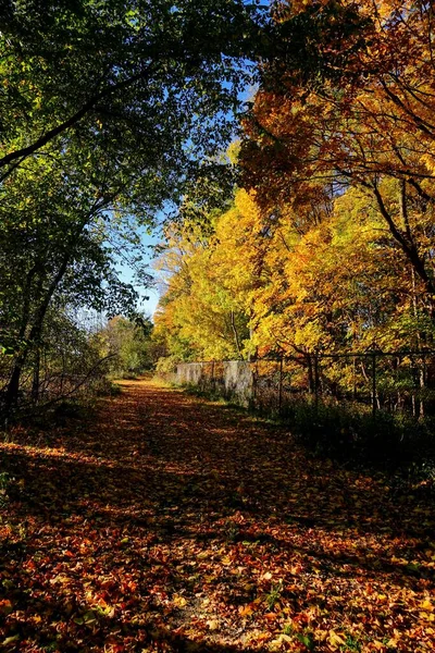 Осенняя Потайная Дорога Рядом Лесом Fond Lac Висконсин — стоковое фото