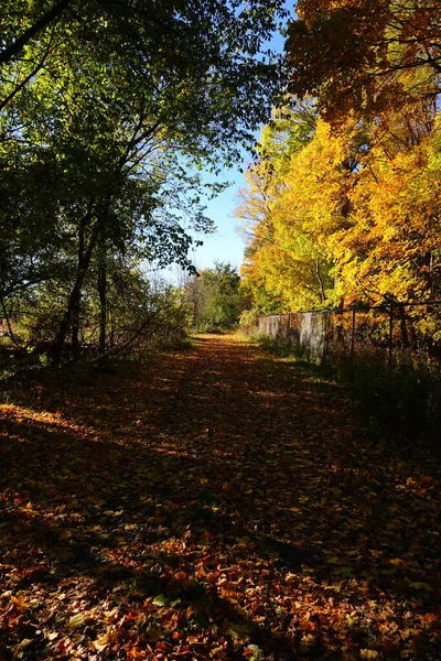 秋はウィスコンシン州フォンデュラックの森の近くに隠された道を着色しました — ストック写真