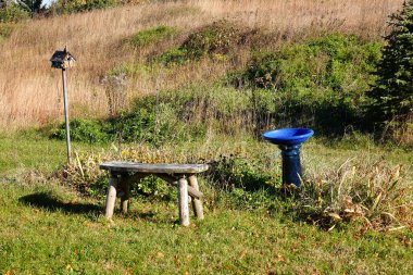 Kalıplı beton mavi kuş banyosu sonbahar mevsimi boyunca Wisconsin, Fond du Lac 'ta tek başına oturur.