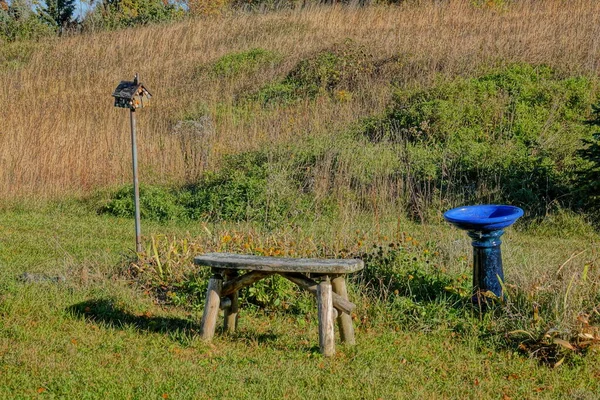 Öntött Beton Királyi Kék Madár Fürdő Egyedül Vidéken Őszi Szezonban — Stock Fotó