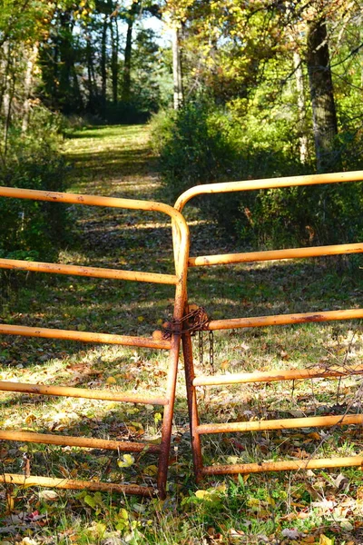 Rusted Vieja Puerta Encadenada Encuentra Frente Camino Paso Naturaleza Durante —  Fotos de Stock
