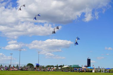 İki nehir, Wisconsin / ABD - 5 Eylül 2020: Profesyonel pilotlar Michigan Gölü üzerinde uçurtmalara gelip izleyicilere yeteneklerini gösterdiler