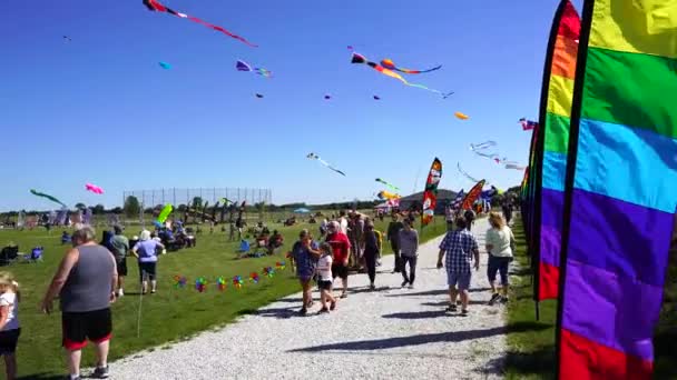 위스콘신 5Th 2020 고등학교에서 축제에서 거대한 다채로운 키트와 바람의 깃발이 — 비디오