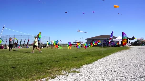 Twee Rivieren Wisconsin September 2020 Veel Grote Kleurrijke Vliegers Windvlaggen — Stockvideo