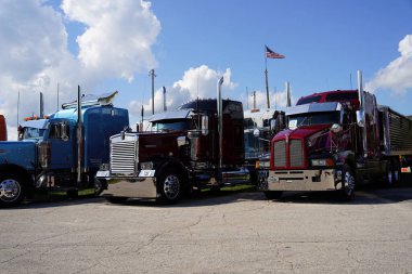 Waupun, Wisconsin ABD - 11 Ağustos 2023: Waupun 'un geleneksel kamyonet fuarına birçok farklı renkli kamyonlar geldi.